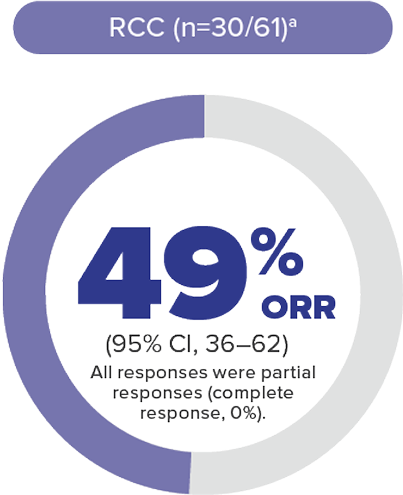 Percentage of Patients Who Achieved an Objective Response (Objective Response Rate, ORR) for VHL Disease-Associated RCC in the Primary Analysis